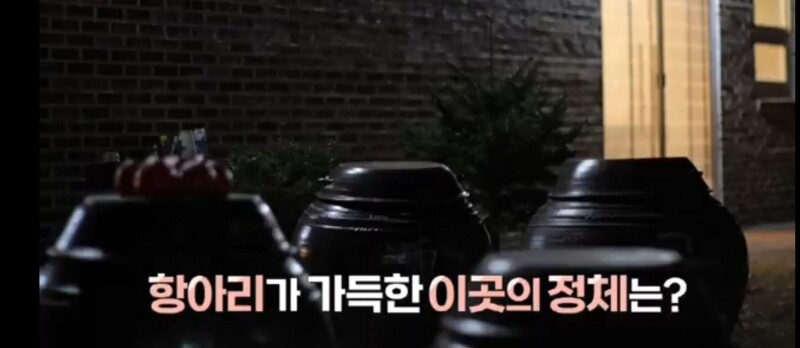 양양몰,탄 52도 (전통소주)